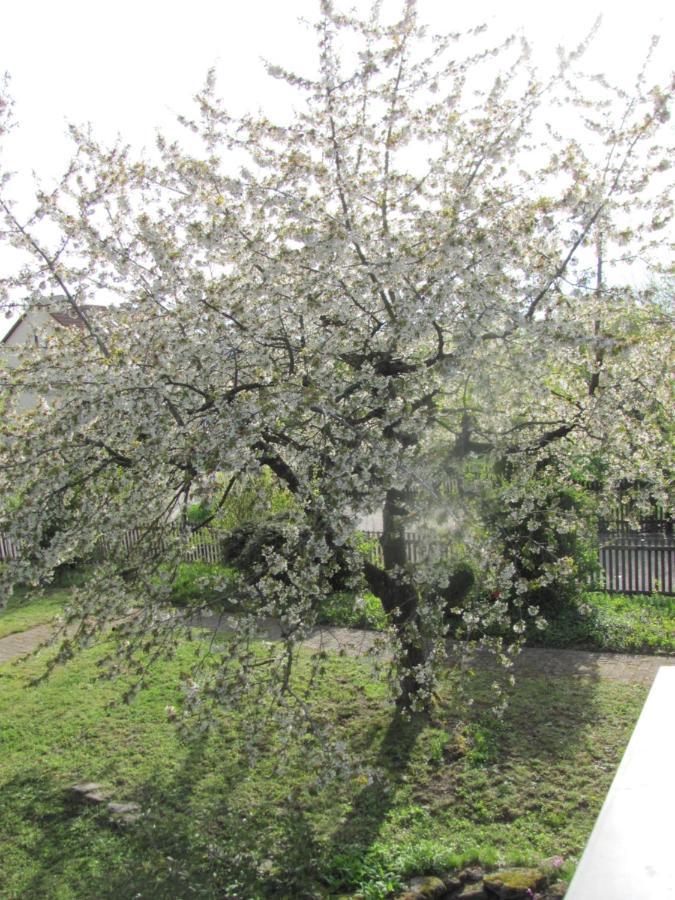 Hochwertiges Ferienhaus Im Romantischen Franken Colmberg Bagian luar foto